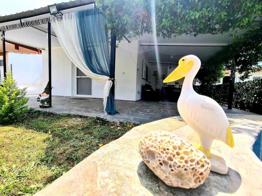 Mom'S Seaside Home Karianí Εξωτερικό φωτογραφία