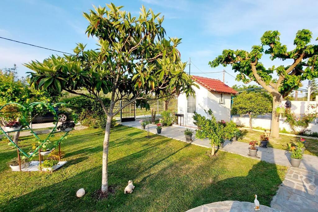 Mom'S Seaside Home Karianí Εξωτερικό φωτογραφία